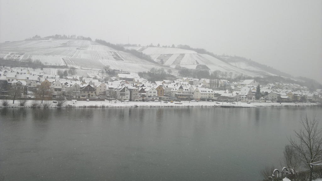 Апартаменты Mosel View Целль-ан-дер-Мозель Экстерьер фото